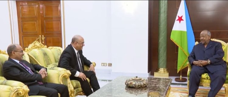 الرئيس الجيبوتي يستقبل وزير التخطيط والتعاون الدولي