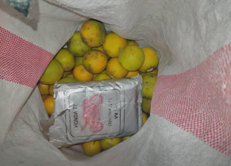 مكافحة المخدرات بساحل حضرموت تُحبط عملية ترويج وتضبط كيلو حشيش مخبأ داخل شوال برتقال