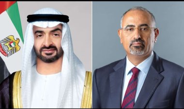 الرئيس الزُبيدي يهنئ الشيخ محمد بن زايد آل نهيان وحكّام الإمارات بالعيد الوطني الـ54