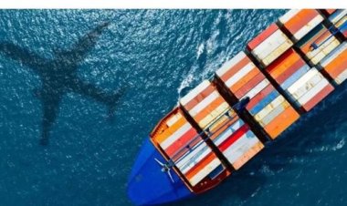 تباطؤ حركة التجارة العالمية بعد تلاشي زخم الطلبيات المبكرة