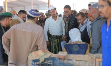 باعوم ينفّذ نزولًا ميدانيًا إلى سوق الخضار المركزي بسيئون ويشدّد على ضبط الأسعار