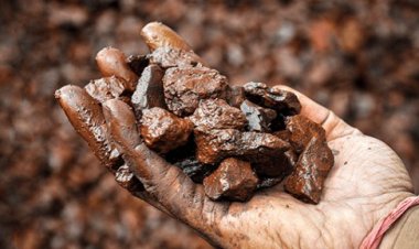 فيتنام تحظر تصدير المعادن الأرضية النادرة الخام