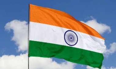 مقتل 7 أفيال في حادث قطار في الهند