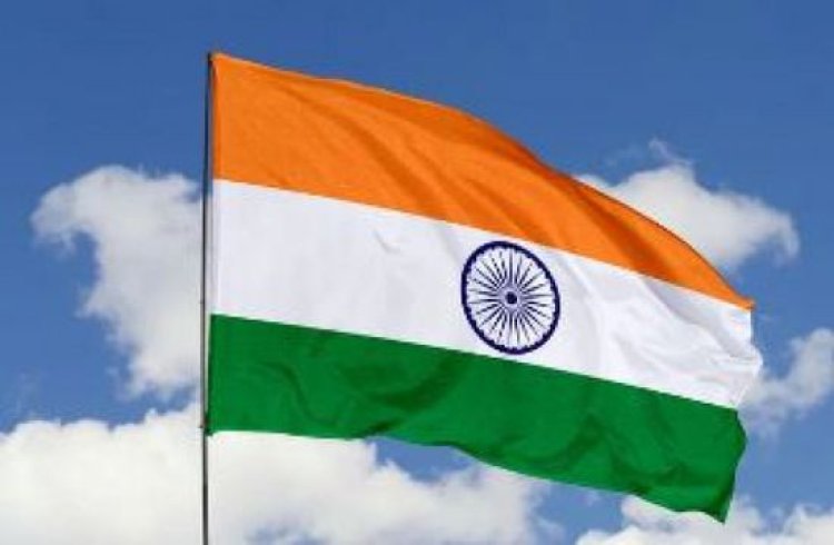 مقتل 7 أفيال في حادث قطار في الهند